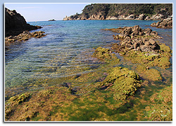 Platja de Santa Cristina